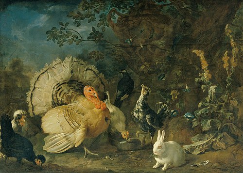 Domestic poultry and rabbit, 1706, Frans Werner Tamm