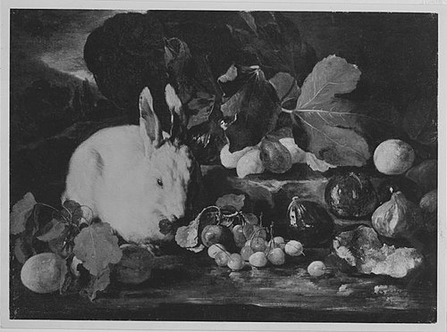 Stillleben mit Kaninchen, 1688, Franz Werner Tamm