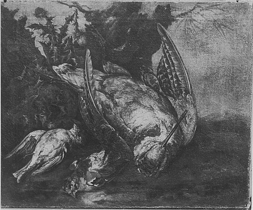 Jagdbeutestillleben mit Schnepfe, 1691, Franz Werner Tamm
