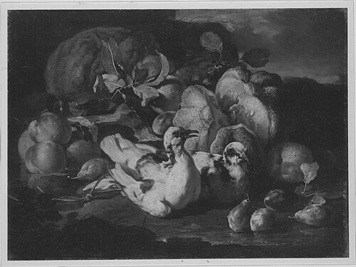 Stillleben mit zwei Tauben, 1688, Franz Werner Tamm