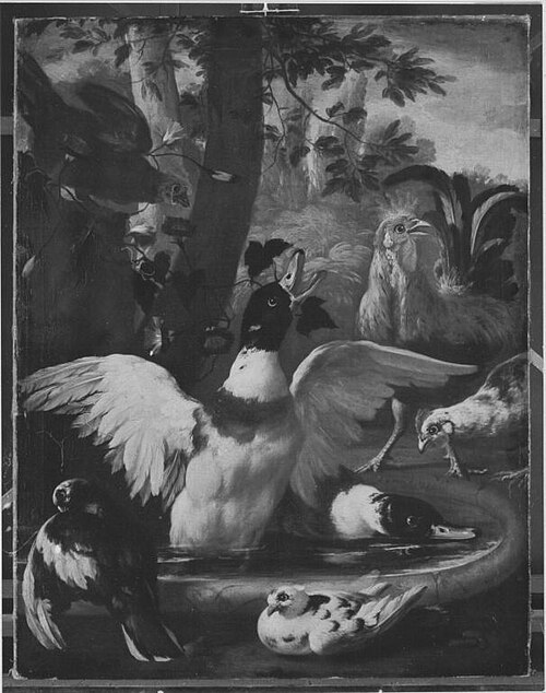Enten und Hühner, 1699, Franz Werner Tamm