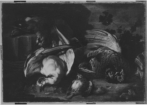 Jagdstillleben, 1705, Franz Werner Tamm