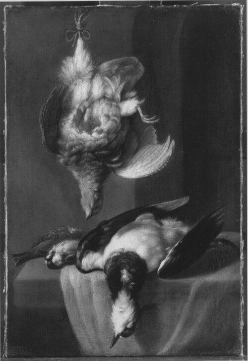 Stillleben mit toten Vögeln, 1691, Franz Werner Tamm