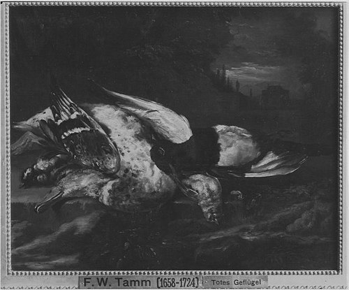 Totes Geflügel, 1691, Franz Werner Tamm
