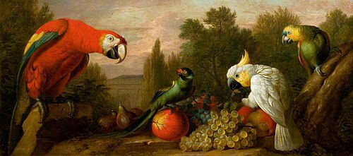 Composition with Parrots and Fruit, , Jakob Bogdani
