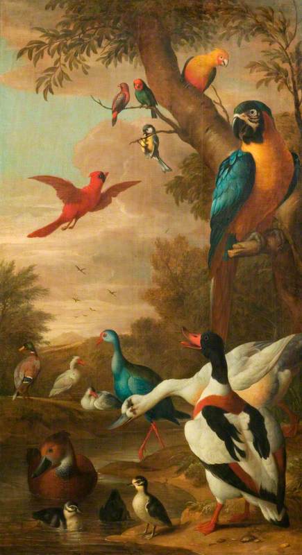 Farm Birds, , Jakob Bogdani