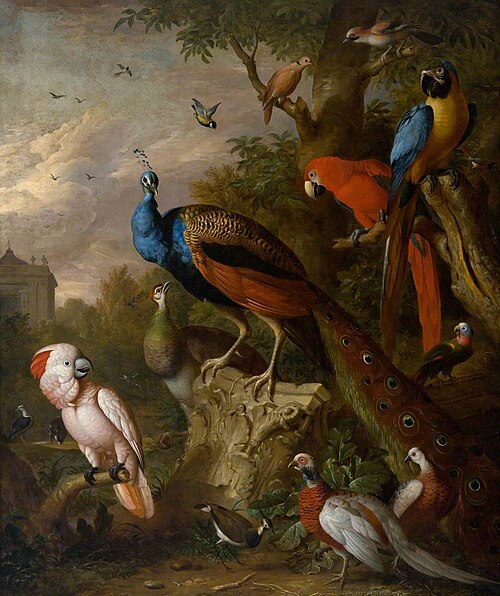 Peacocks and Other Exotic Birds, , Jakob Bogdani