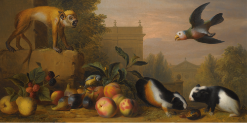 , , Jakob Bogdani