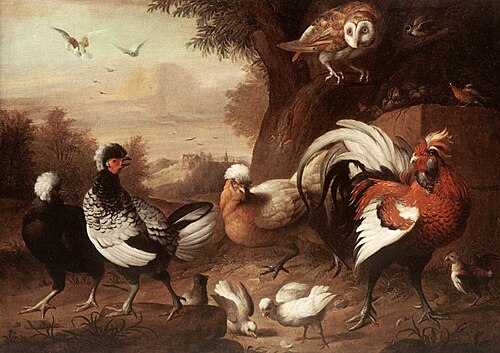 Fowls and Owl, , Jakob Bogdani