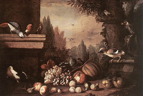Fruit with Birds and Guinea-pig, , Jakob Bogdani