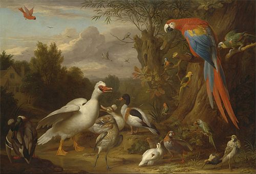 A Macaw, Ducks, Parrots and Other Birds in a Landscape, 1709, Jakob Bogdani