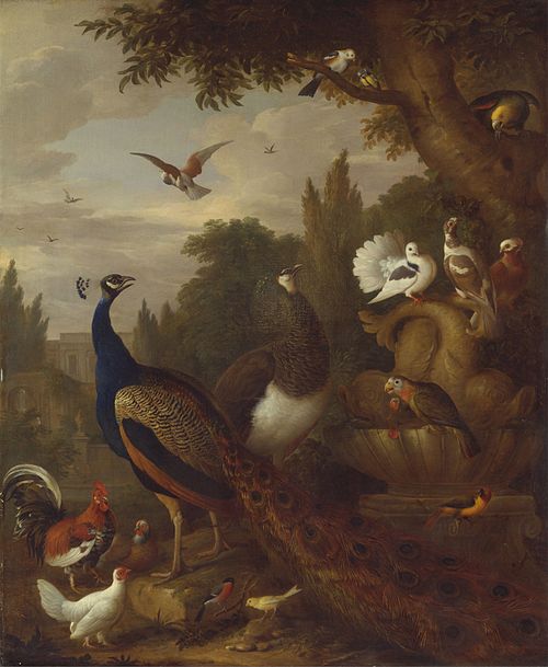 Peacock, peahen, parrots, canary, and other birds in a park, 1709, Jakob Bogdani