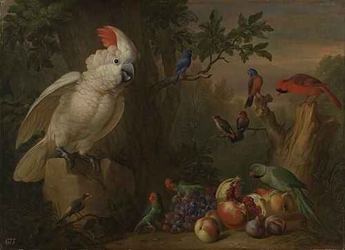 Birds and Fruit in a Landscape, 1709, Jakob Bogdani