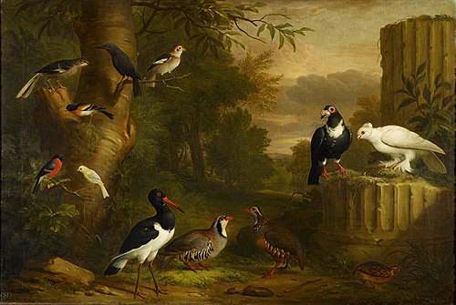 Birds in a Landscape, 1709, Jakob Bogdani