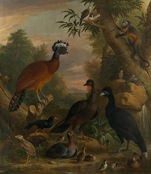 Birds in a Landscape, 1700, Jakob Bogdani
