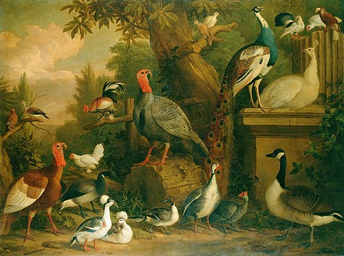 Birds in a Landscape, 1709, Jakob Bogdani