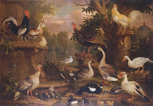 Birds in a Landscape, 1709, Jakob Bogdani