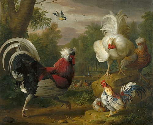 The Cockrel's Fight, 1706, Jakob Bogdani