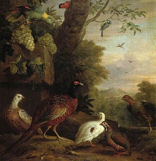 Birds in a landscape, , Jakob Bogdani