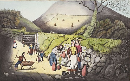 A Fountain near Aberystwith, 1840, Welsh Primitive