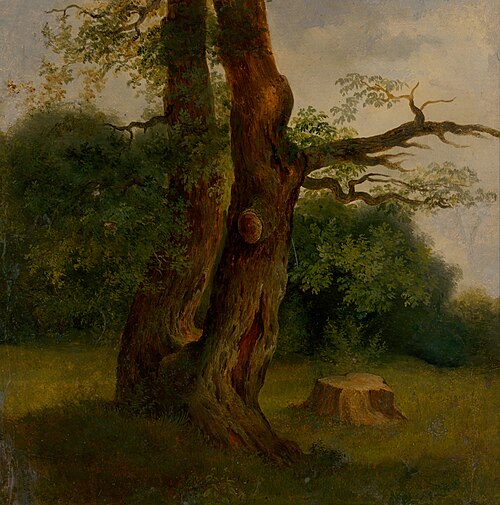 Study of a Leafy Tree, 1860, Jozef Božetech Klemens