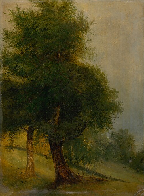 Trees on a Slope, 1870, Jozef Božetech Klemens