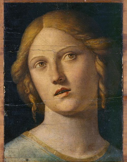 Head of a Female Saint, , Cima da Conegliano