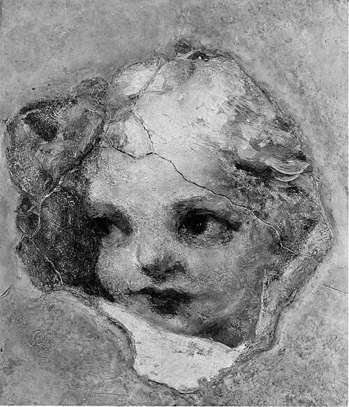 Head of a Cherub, , Le Corrège