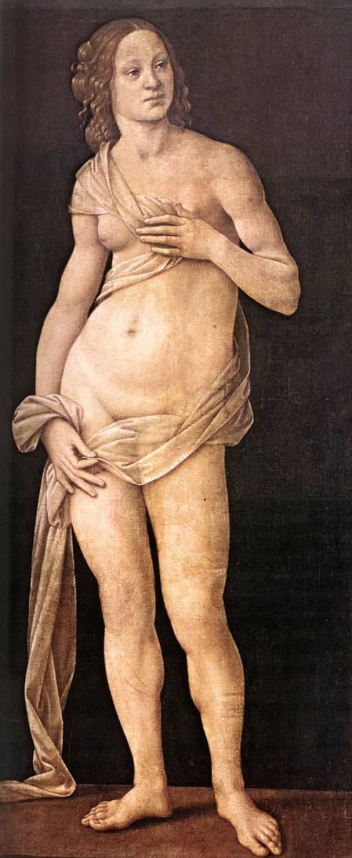 Vénus, 1493, Lorenzo di Credi