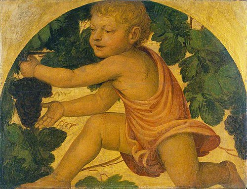 Putto Picking Grapes, 1523, Bernardino Luini