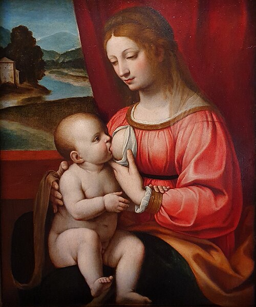Madonna che allatta il Bambino, , Bernardino Luini