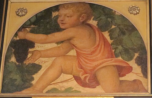 fanciullo che coglie uva, , Bernardino Luini