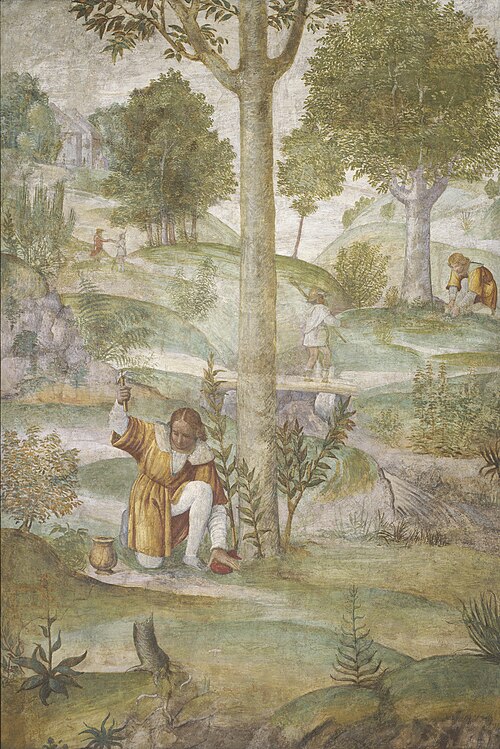 Cephalus Hiding the Jewels, 1520, Bernardino Luini