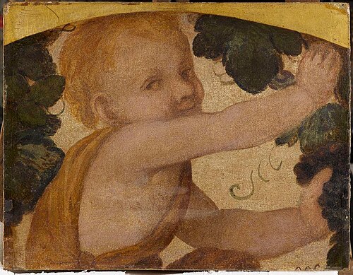Buste de putto dans les pampres, 1521, Bernardino Luini