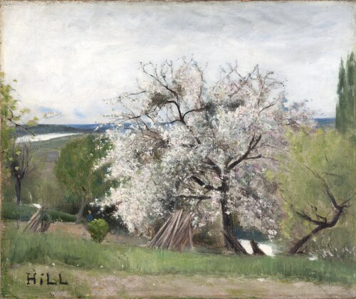 Fruit Tree in Blossom, Bois-le-Roi, 1877, Carl Fredrik Hill