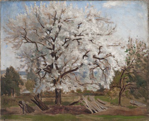 Pommier en fleurs, 1877, Carl Fredrik Hill