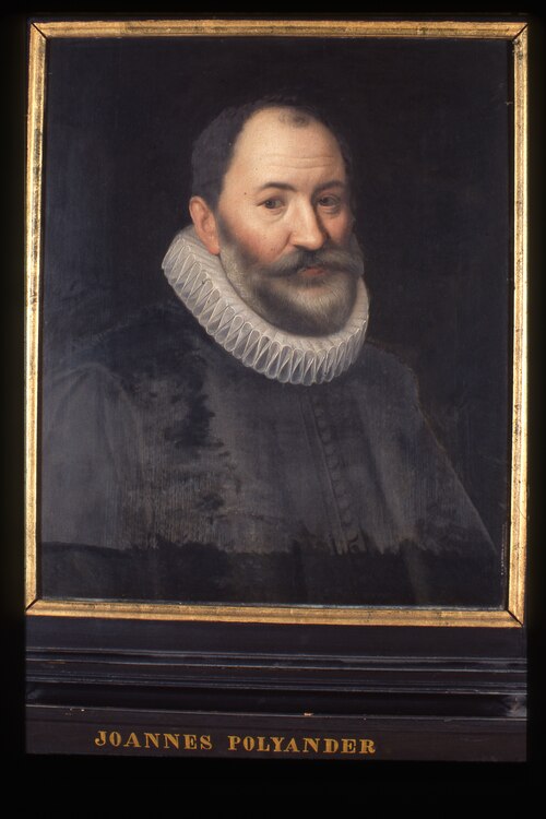 Portrait of Johannes Polyander à Kerchoven, 1601, Michiel van Mierevelt