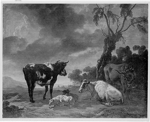 Weidevieh, , Jacob van der Does