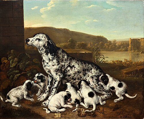 Dalmatian dog with puppies, 1700, Pieter van der Hulst