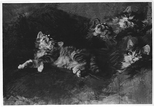 Katze mit Detailstudien, 1903, Julius Adam