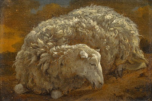 Study of a sheep, , Jan Baptist Weenix