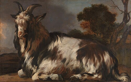 Goat Lying Down, 1650, Jan Baptist Weenix