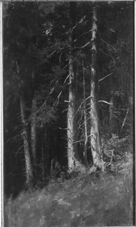 Hochwald, 1885, Ludwig von Löfftz