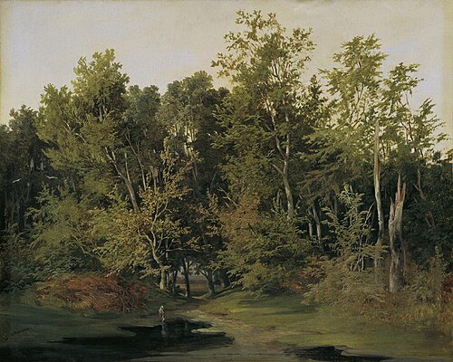 Forest landscape in Lower Austria, 1850, Anton Altmann