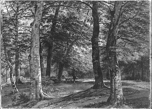 Waldweg mit Jäger, 1821, Wilhelm von Kobell