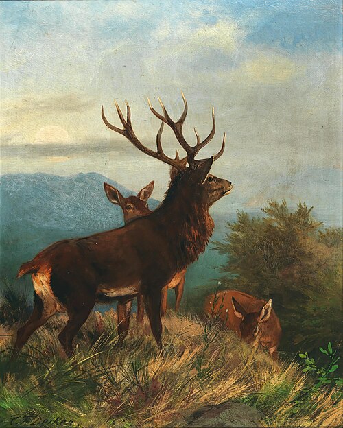 Deer with his pack, , Carl Friedrich Deiker