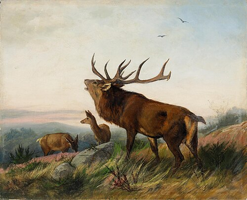 Herd of deer on a hill, , Carl Friedrich Deiker