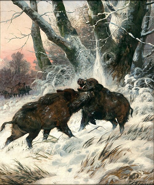Wild boars Fighting, , Carl Friedrich Deiker