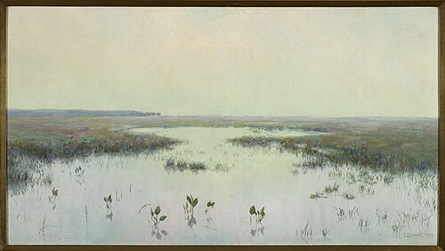 Dawn over water – Marshes, 1908, Teodor Ziomek