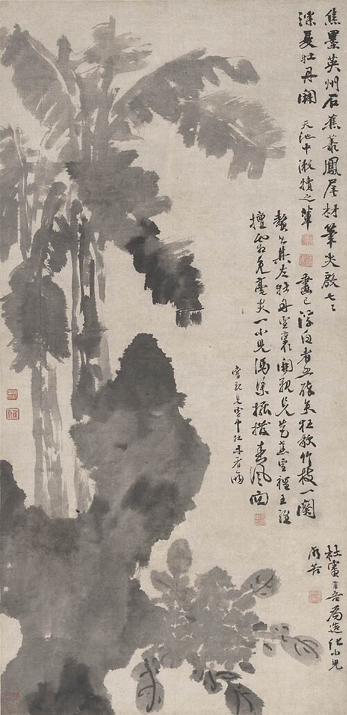 牡丹蕉石圖, , Xu Wei